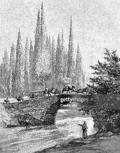 Caravan Bridge 82 Caravan Bridge Turkey Stock Photos, High-Res Pictures, and Images ...