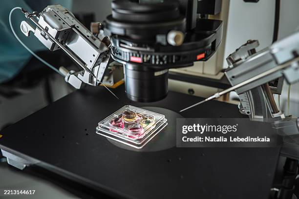 An Inverted Microscope 75 Inverted Microscope Stock Photos, High-Res Pictures, and Images ...