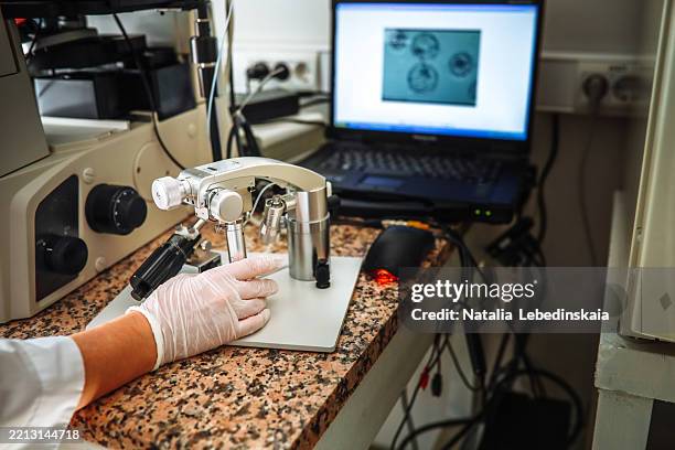 Using Inverted Microscope 75 Inverted Microscope Stock Photos, High-Res Pictures, and Images ...