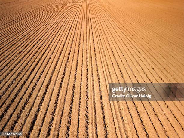 plowed field creates converging lines in rural landscape - plowed field stock pictures, royalty-free photos & images