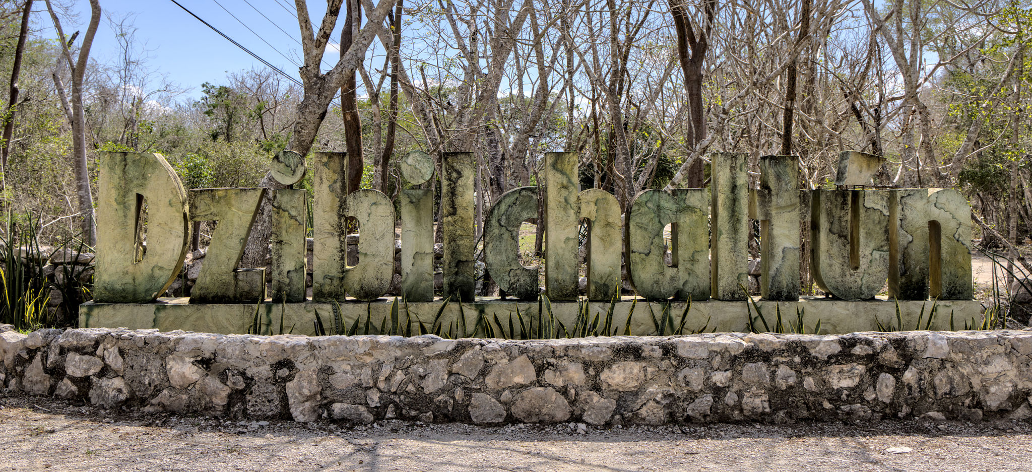 education in merida