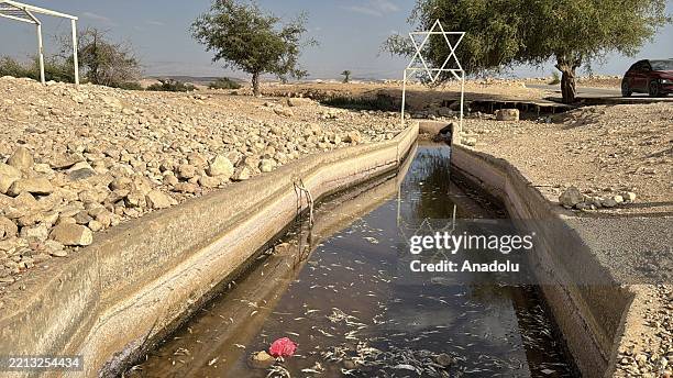 View of the dried Al-Auja Spring, one of the most important natural resources of West Bank, is being dried up almost completely by Israeli forces in...