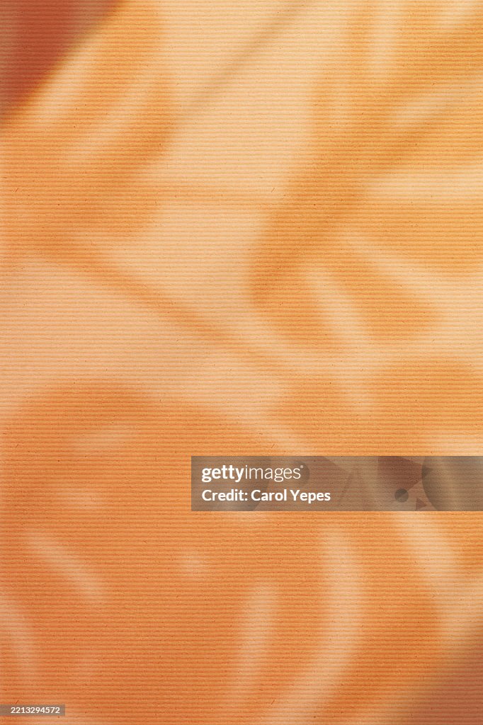 Shadows of tropical leaves in orange background