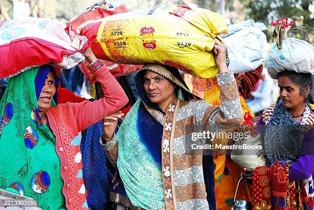 pilgrims women journeying together to the maha kumb mehla festival. - uttar pradesh stock pictures, royalty-free photos & images