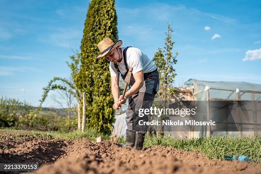 Man Working on a Farm Plot Using a Tool Under Bright Clear Sky Man Working on a Farm Plot Using a Tool Under Bright Clear Sky