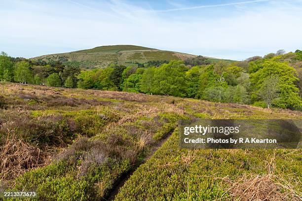 middle moor above hayfield, derbyshire, england - peak district national park spring stock pictures, royalty-free photos & images