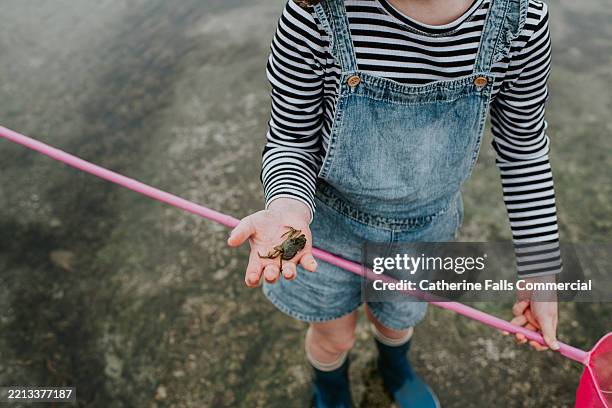 child exploring shallow waters with a net near a coastal landscape during an overcast day - shoe lift stock pictures, royalty-free photos & images