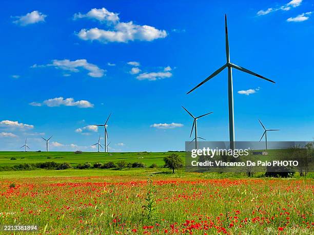 136 Spring Valley Wind Farm Stock Photos, High-Res Pictures, and Images ...