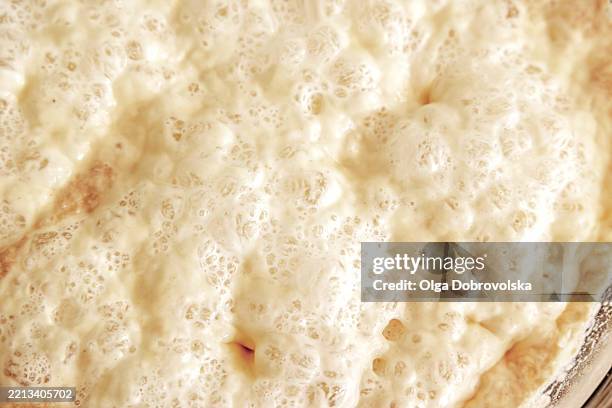 yeast starter with fermentation bubbles - yeast starter stock pictures, royalty-free photos & images