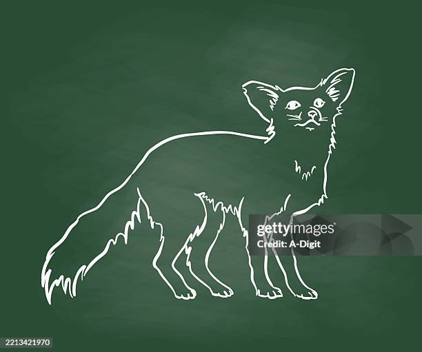 desertfoxchalkboard - curious expression stock illustrations