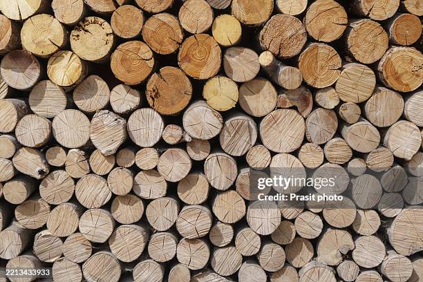 stacked firewood log ends - holzstamm stock-fotos und bilder