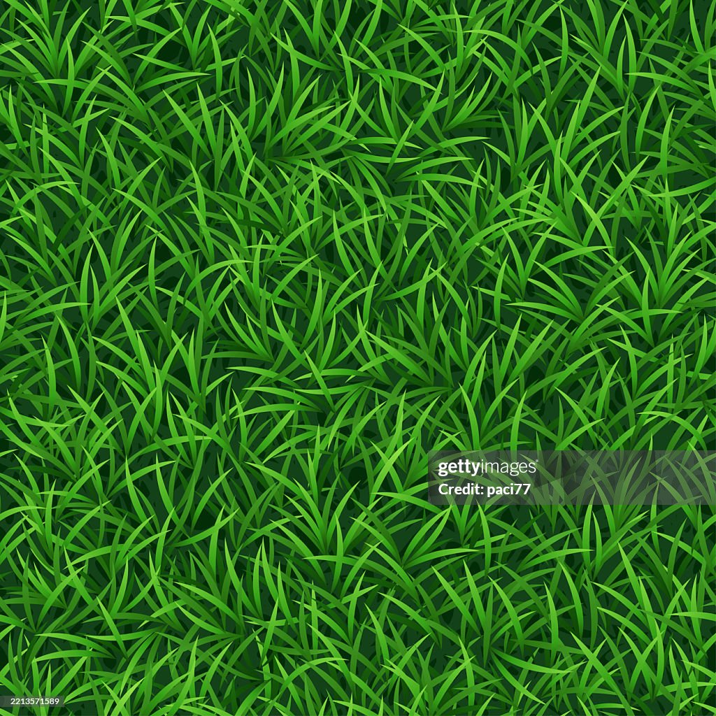 Green Grass Realistic Seamless Pattern High-Res Vector Graphic - Getty ...