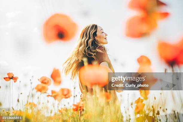 dreamy portrait of a young woman in poppy field. - weiblichkeit stock-fotos und bilder