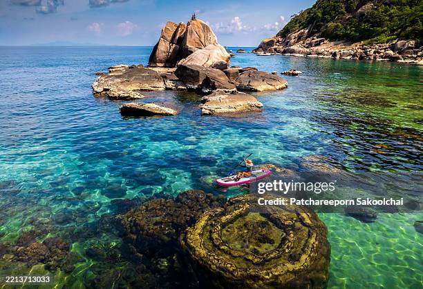 koh tao trip - korallen stock-fotos und bilder