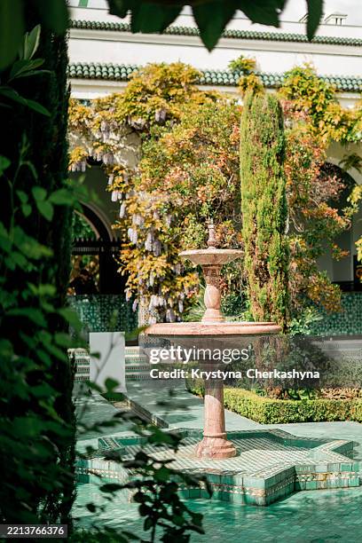 beau jardin avec des fleurs et une fontaine dans une mosquée en france. paris. - grande mosquée photos et images de collection