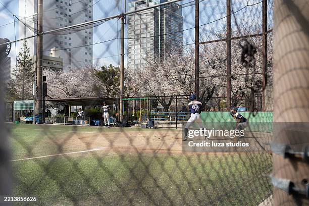 local baseball team playing in tokyo with cherry blossoms in the background - baseball player stock pictures, royalty-free photos & images