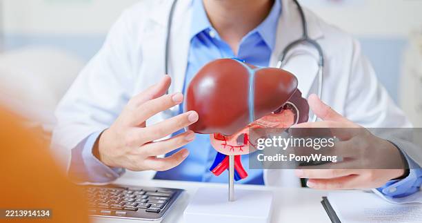 médico que explica el estado de salud del hígado - hígado humano fotografías e imágenes de stock