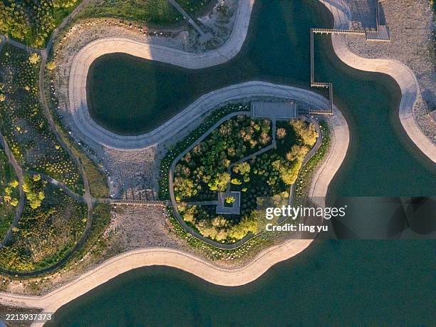 aerial view of winding pathway through green landscape - crooked tree stock pictures, royalty-free photos & images
