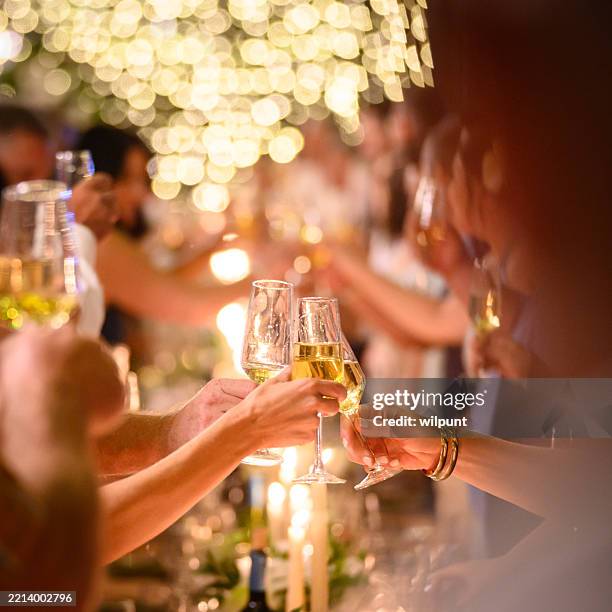 treffen von freunden, die bei eleganter feier mit champagner anstoßen - einen toast ausbringen stock-fotos und bilder