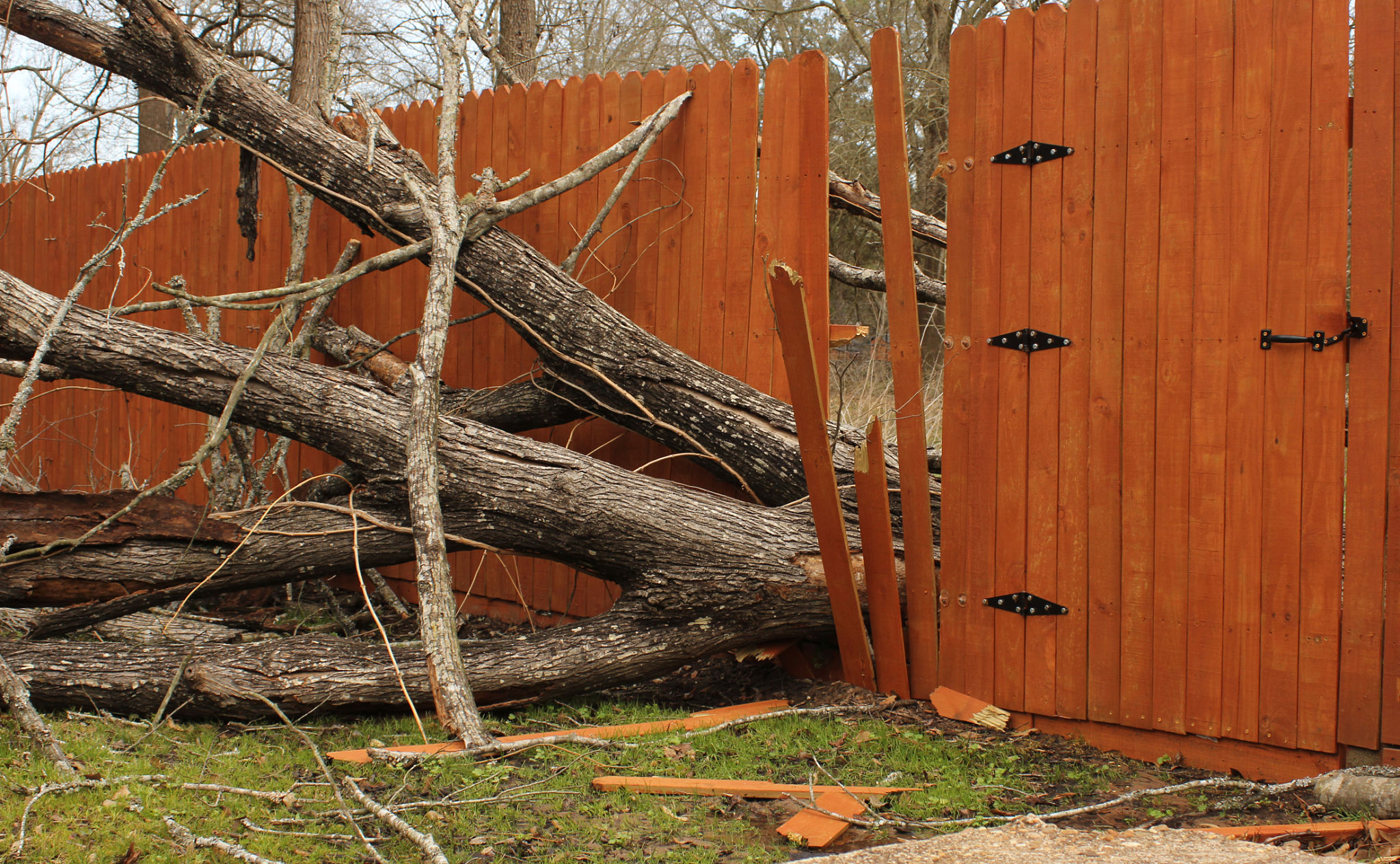 storm damage