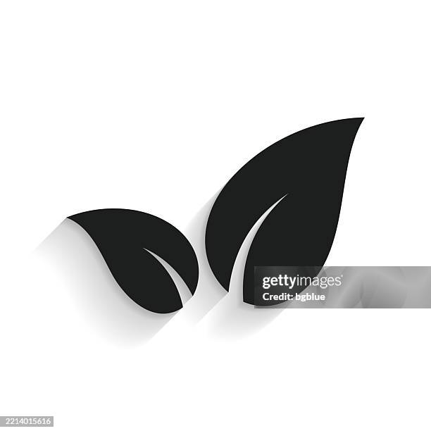 tea leaf. icon with long shadow on white background - tea leaf white background stock illustrations