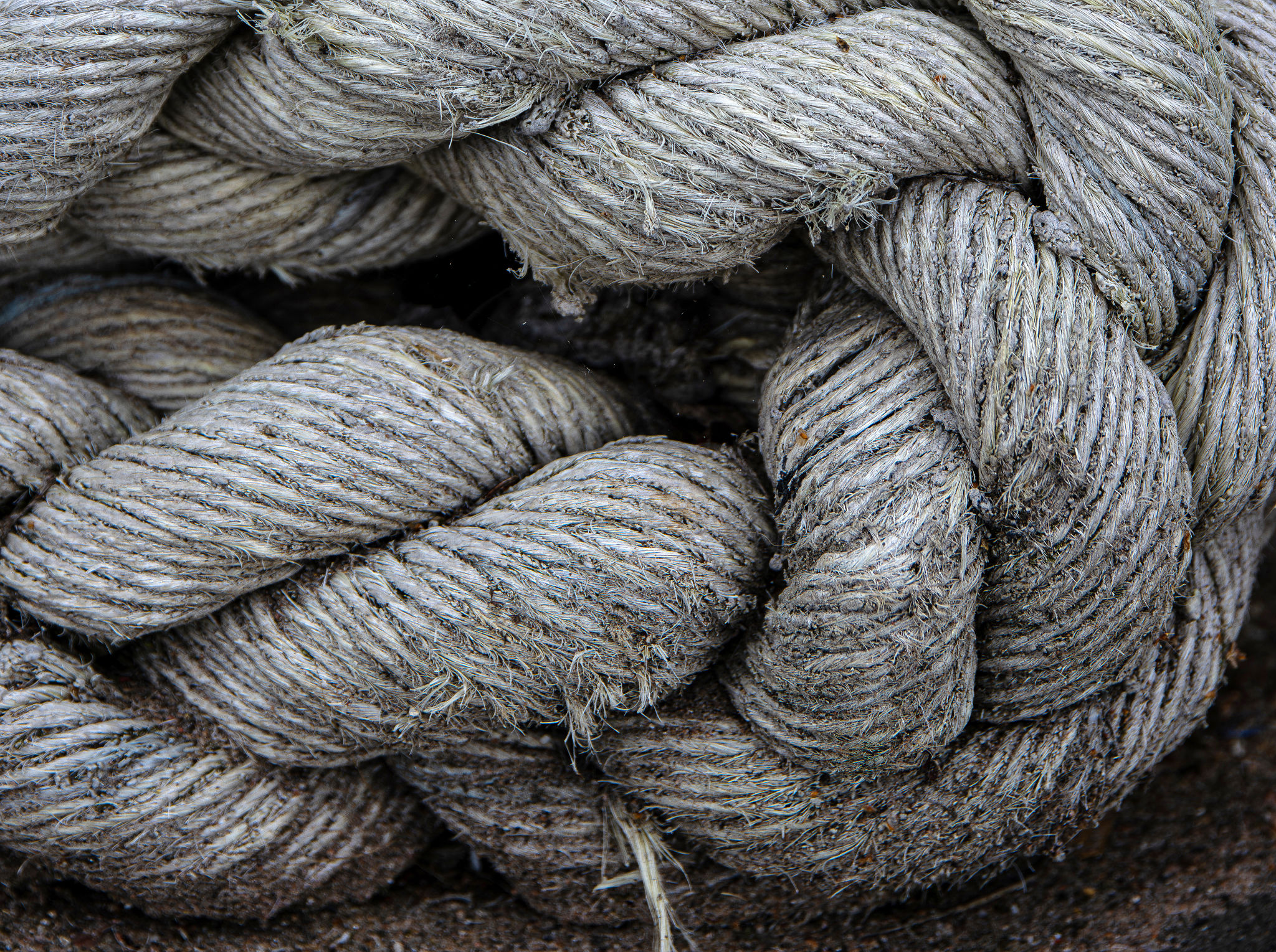 cargo securement