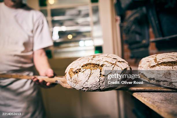 baker putting bread into oven in his bakery - bakery stock pictures, royalty-free photos & images
