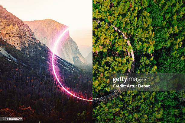 a visual metaphor confronting the rise of artificial intelligence versus the real natural scenario - compare contrast stock pictures, royalty-free photos & images