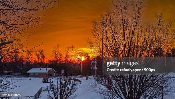 trees against sky during sunset,norwalk,connecticut,united states,usa - norwalk ct stock pictures, royalty-free photos & images