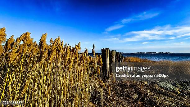 scenic view of sea against sky,norwalk,connecticut,united states,usa - norwalk ct stock pictures, royalty-free photos & images
