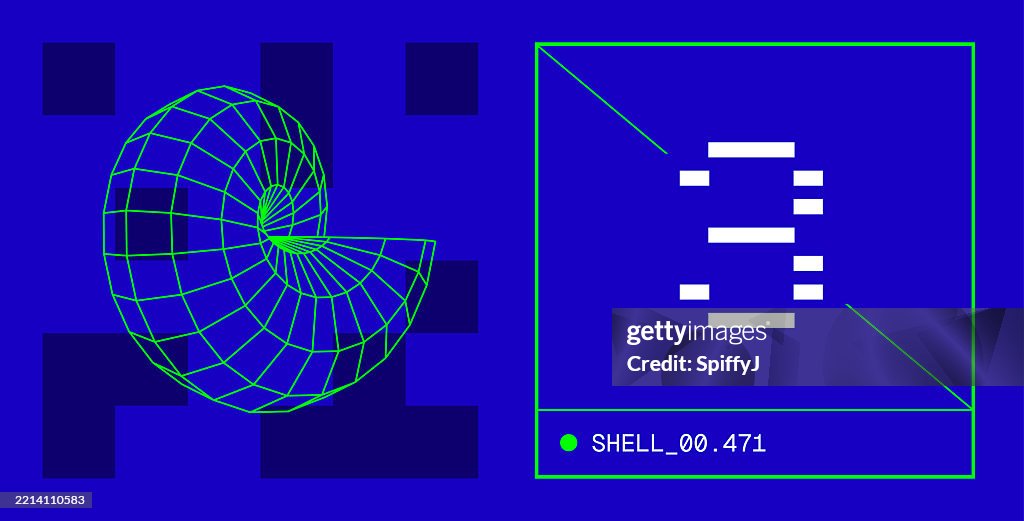 Shell wireframe model shape