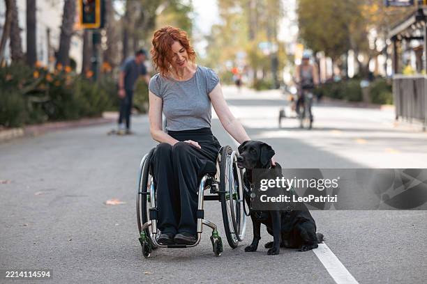 woman on wheelchair strolling in the city with her service dog - service animal stock pictures, royalty-free photos & images