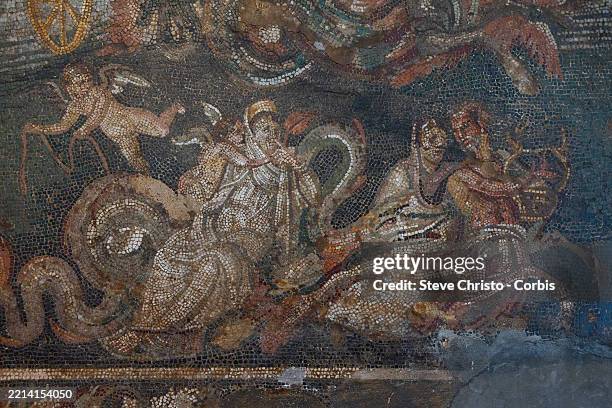 Mosaics of the marine world were often chosen to decorate houses. Part of the exhibition of antiquities from Pompeii at the National Archaeological...