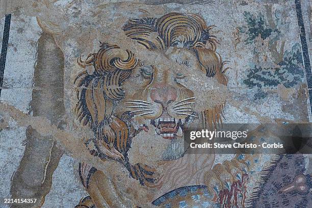 Lion and Leopard from the house of mosaic Doves as part of the exhibition of antiquities from Pompeii at the National Archaeological Museum in...