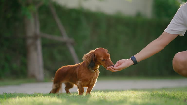 imagen en miniatura de vídeo