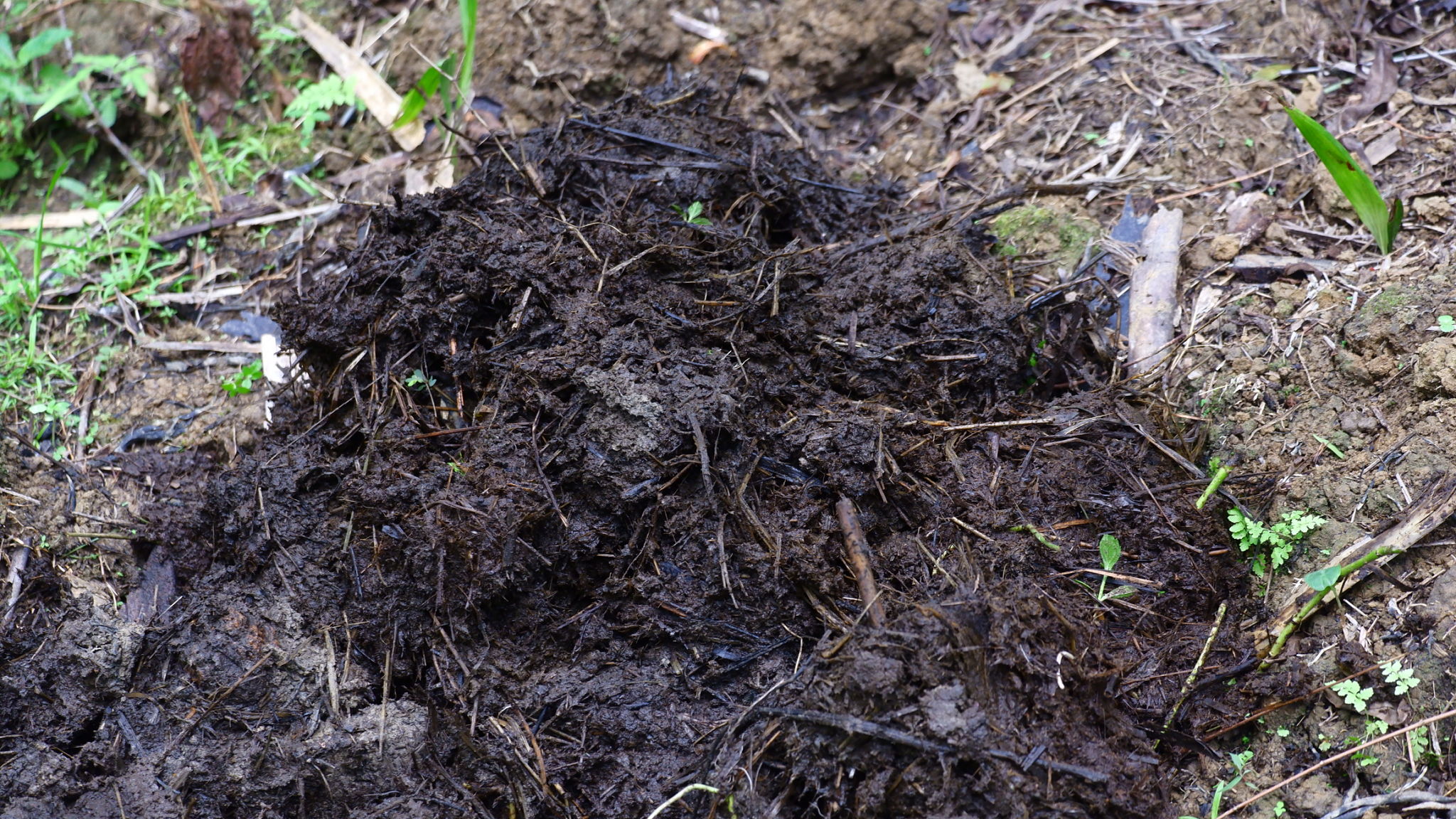 fertilizer selection