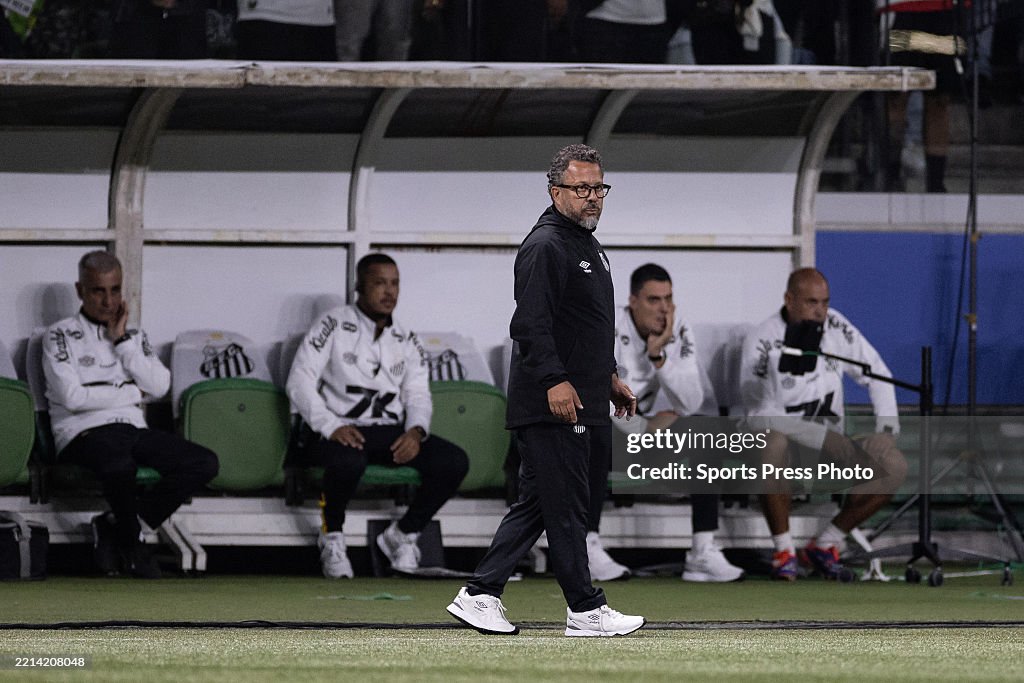 Santos v Ceara - Brasileirao 2025