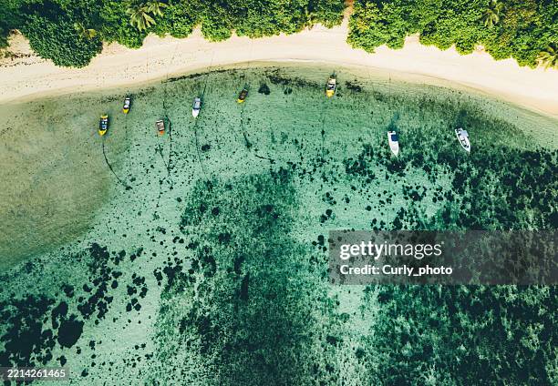 aerial view of sunny beach with palms and turquoise sea. summer vacation and tropical beach concept. - indian ocean stock pictures, royalty-free photos & images