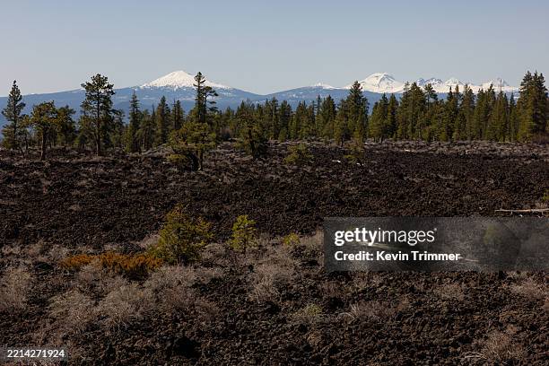 Cascading Ridge View 246 Oregon Ridge Park Stock Photos, High-Res Pictures, and Images ...