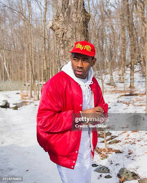 Tyler 8 Rapper 1,164 Rapper Tyler The Creator Stock Photos, High-Res Pictures, and ...