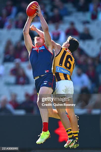 Harvey Langford of the Demons marks infront of Massimo D'Ambrosio of the Hawks during the round nine AFL match between Melbourne Demons and Hawthorn...