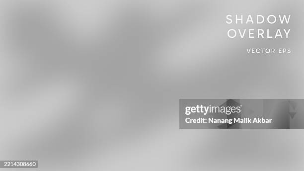 tree and leaf shadow overlay effect - dappled light background stock illustrations