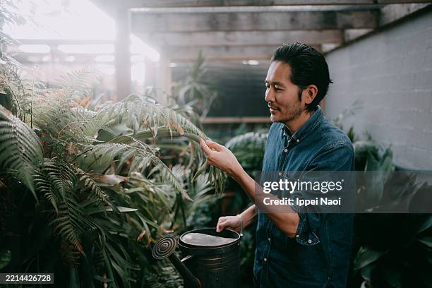 man enjoying urban gardening - ambientalista foto e immagini stock