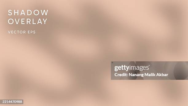 tree and leaf shadow overlay effect - tree shadow wall stock illustrations