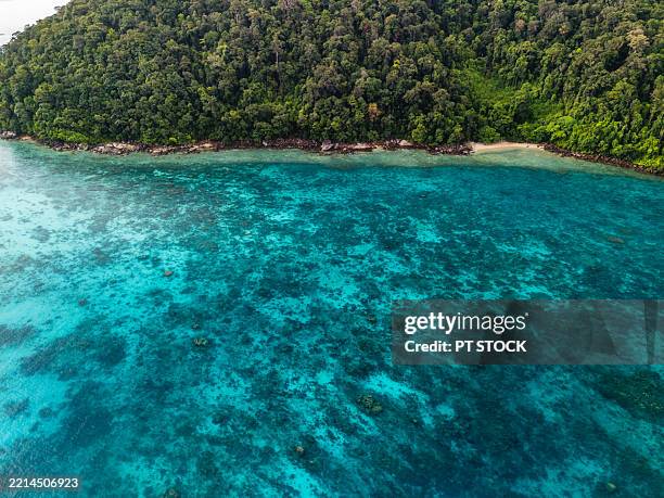 aerial view of a lush green tropical peninsula bordered by clear turquoise waters, coral reefs, and small sandy beaches. - península fotografías e imágenes de stock