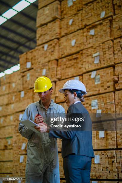 blue collar workers are working at wood factory. - lumberyard stock pictures, royalty-free photos & images