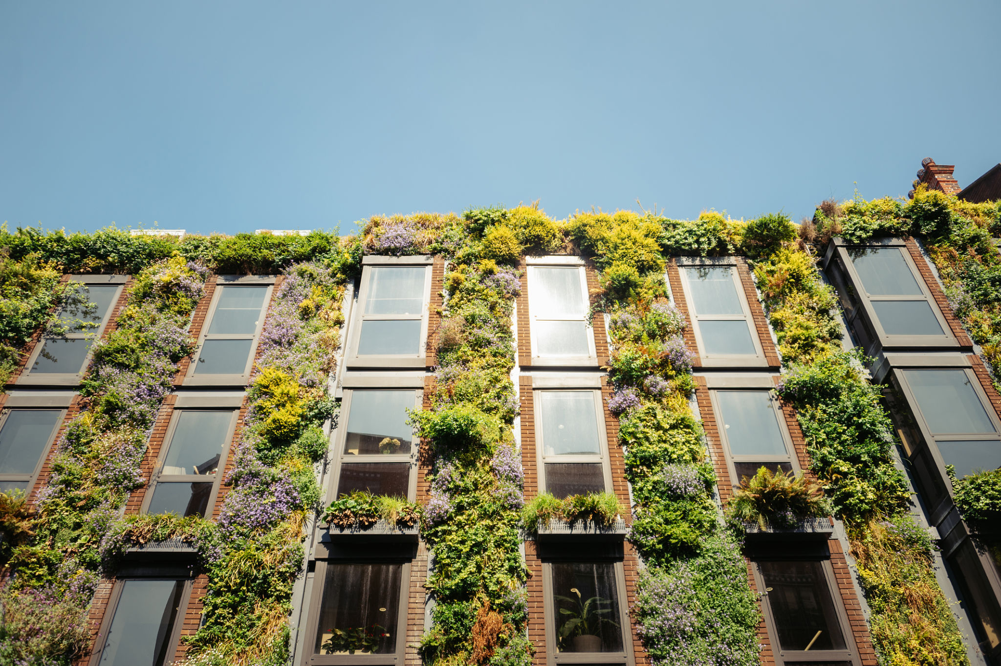 sustainable home UK