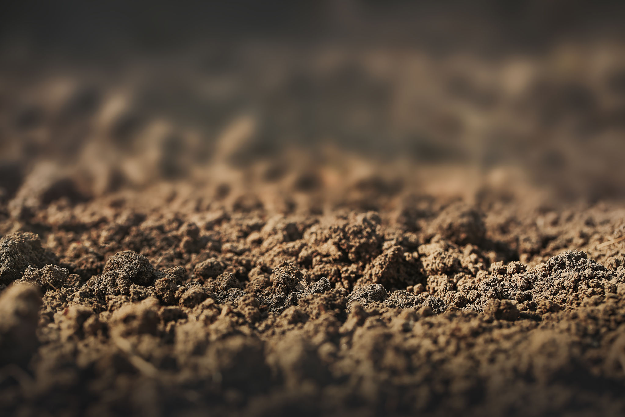 soil surface with a focus line for product presentation soil surface with a focus line for product presentation