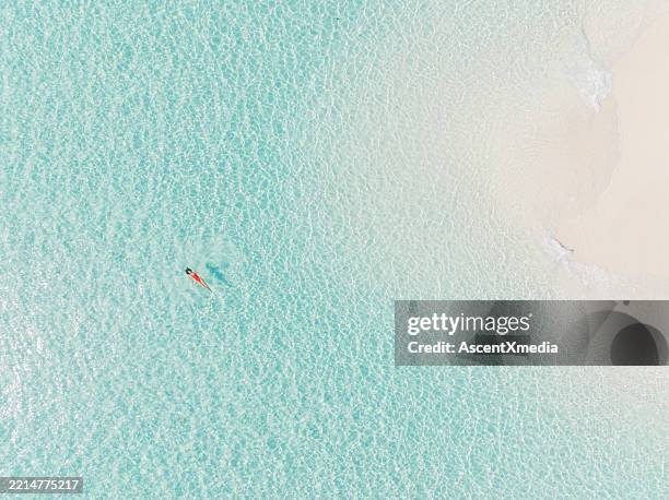 vue à vol d’oiseau d’une jeune femme nageant dans une mer turquoise - lagon photos et images de collection