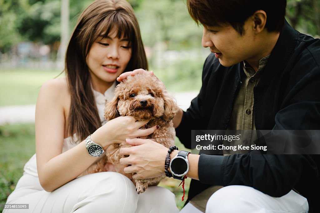 Querida compañía: el perro trae alegría al día de la pareja